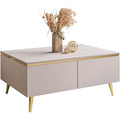 Couchtisch in Kaschmir matt mit Stauraum und goldfarbenen Metallf¨¹?en